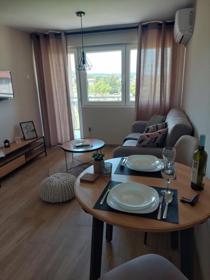 M Apartments Sokobanja Extérieur photo